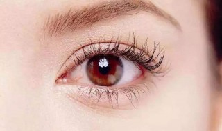 眼跳测吉凶 为什么会眼跳呢