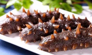 怎样做海参好吃又简单 海参好吃又简单的做法