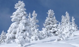 第一场雪怎么发说说 第一场雪有哪些心情说说