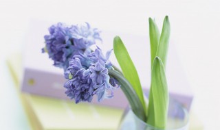 人生如花经典句子 感悟人生如花的句子