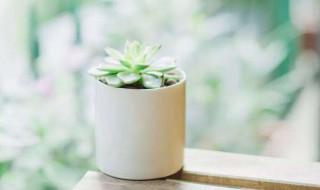 形容安静的唯美句子 形容安静的唯美句子集锦