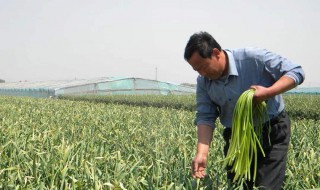 干活农活累的简短说说 干活真的很辛苦