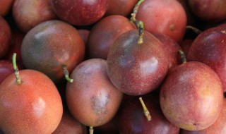 怎么保存百香果 百香果怎么保存