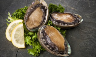 白灼鲍鱼的正确方法 如何做白灼鲍鱼