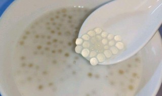 西米怎么吃 西米的吃法