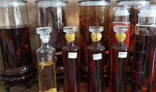 肉苁蓉怎么泡酒 泡酒步骤如下