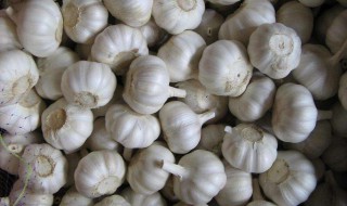 大蒜味道怎么去除 大蒜味道去除的方法
