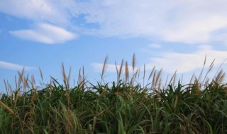 形容入秋渐凉的句子朋友圈 有什么形容入秋渐凉的说说