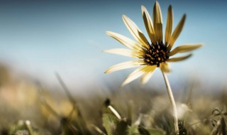 适合早上发的心情感悟句子 有什么适合早上发的心情说说