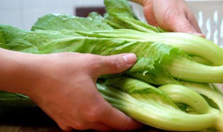 芥菜怎么吃 芥菜的吃法