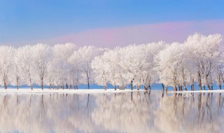 冬季唯美语录简短 冬季唯美语录简短有哪些