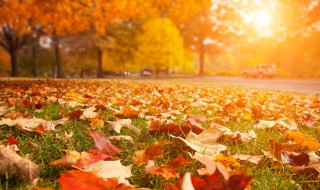 天气渐凉的说说 秋高气爽天微微凉