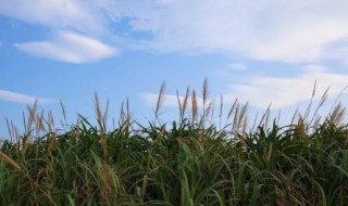 秋天发朋友圈的短句 适合秋天发朋友圈的句子