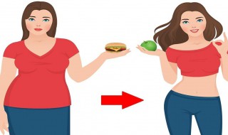 减肥什么方法好呀 怎样合理减肥