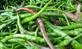 泡青椒制作方法 泡青椒怎么做