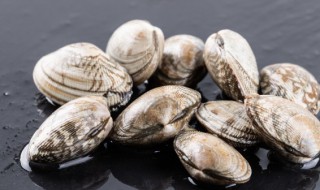 贝壳肉的制作方法 贝壳肉的做法