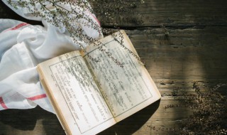 什么吹面不寒杨柳风 吹面不寒杨柳风出自哪首诗