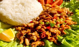泰式鸡肉饭怎么做 泰式鸡肉饭做法