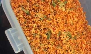 新鲜桂花如何做蛋糕 如何做桂花蛋糕