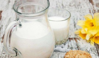 喝鲜牛奶正确方法 3种喝牛奶的正确方法