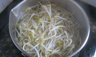 做绿豆芽的方法 做绿豆芽的方法介绍