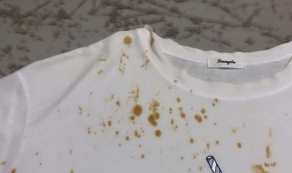 霉渍怎么去除简单方法 霉渍如何去除简单方法