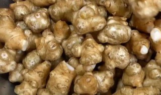 洋姜腌制方法 洋姜腌制方法是什么