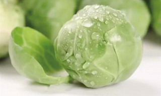 养胃菜有哪些 养胃菜介绍