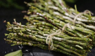 铁皮石斛食用方法 铁皮石斛的多种食用方法