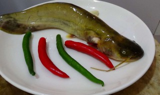 做鲶鱼最简单的方法 怎样做鲶鱼