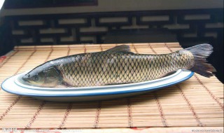 草鱼鱼滑的制作方法 草鱼鱼滑怎么制作