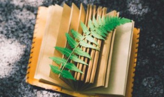 孩子受伤父母心情短语 孩子受伤妈妈心疼句子