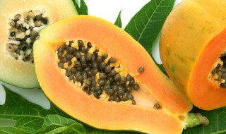 咸木瓜的腌制方法 咸木瓜的腌制方法与步骤