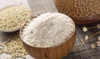 苦荞粉怎么吃 苦荞粉如何吃