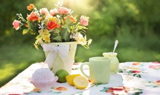 对生活温馨简短的句子 对生活温馨简短的句子集锦