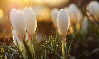 愿一切都好的简短句子 愿一切都好的简短句子集锦