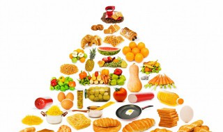 含优质蛋白质的食物有哪些 哪些食物是富含优质蛋白质的