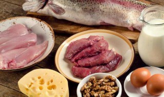 低热量高蛋白的食物有哪些 什么食物低热量高蛋白