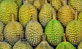 榴莲短期储藏方法 可以冷冻吗