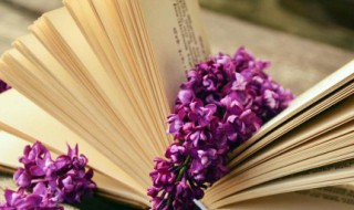 表达被老公宠的句子 老公很宠爱自己的句子