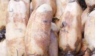 莲藕保存方法 莲藕怎么保存