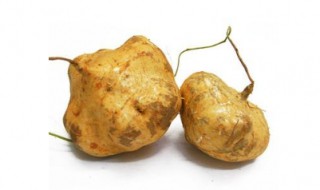 糖醋地梨腌制方法 糖醋地梨儿腌制方法与步骤