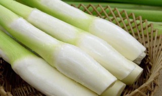 茭白变质的样子 茭白变质是什么样子的