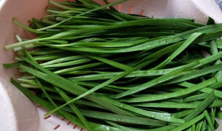 哺乳期吃韭菜会导致宝宝拉肚子吗 哺乳期吃韭菜会不会导致宝宝拉肚子