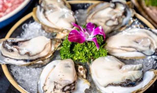 生蚝煮出来外壳变绿色还能吃吗 生蚝煮出来外壳变绿色还能不能吃