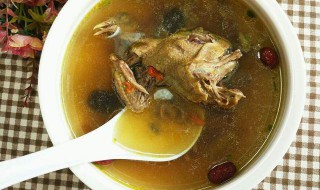 白鸽炖什么最补气血 白鸽的功效作用介绍