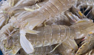 冰鲜虾选直的还是弯的 冰鲜虾如何选择