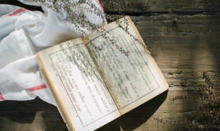 假在文言文中的意思 假在文言文中的意思是什么