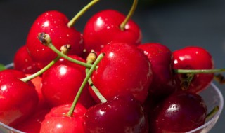 车厘子甜度一般在多少 车厘子甜度介绍