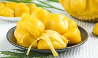 菠萝蜜软的好还是硬的好 菠萝蜜什么样的好